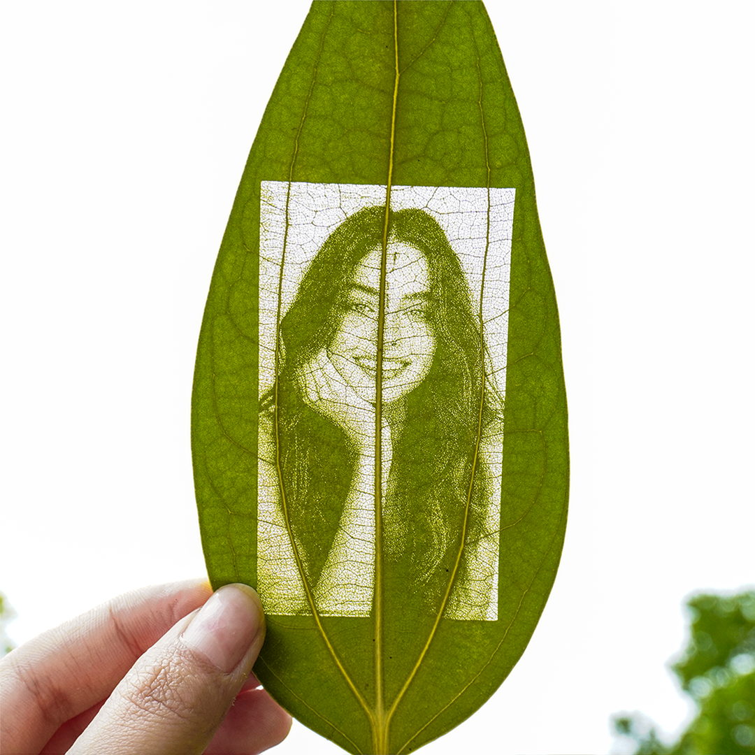 Leaves for Laser Engraving (10pcs)