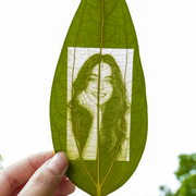 Leaves for Laser Engraving (10pcs)